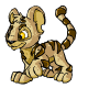 https://images.neopets.com/pets/80by80/kougra_biscuit_happy.gif