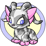 https://images.neopets.com/pets/acara_checkered_baby.gif