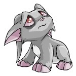 https://images.neopets.com/pets/angry/acara_grey_baby.gif