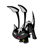 Angry skunk aisha (old pre-customisation)