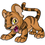Angry brown kougra (old pre-customisation)