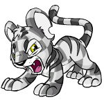 Angry checkered kougra (old pre-customisation)