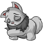 https://images.neopets.com/pets/closeattack/wocky_grey_left.gif