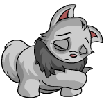 https://images.neopets.com/pets/closeattack/wocky_grey_right.gif