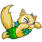 https://images.neopets.com/pets/closeattack/wocky_island_right.gif