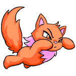 https://images.neopets.com/pets/closeattack/wocky_orange_right.gif