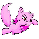 https://images.neopets.com/pets/closeattack/wocky_pink_right.gif