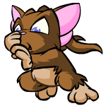 https://images.neopets.com/pets/defended/acara_brown_left.gif