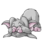 https://images.neopets.com/pets/defended/acara_grey_left.gif