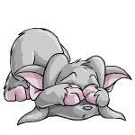 https://images.neopets.com/pets/defended/acara_grey_right.gif