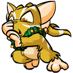 https://images.neopets.com/pets/defended/acara_island_left.gif