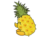 Defended pineapple chia (old pre-customisation)