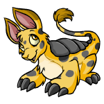 Happy spotted bori (old pre-customisation)