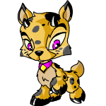 Happy spotted ixi (old pre-customisation)