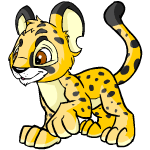 Happy spotted kougra (old pre-customisation)