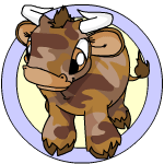 https://images.neopets.com/pets/kau_camouflage_baby.gif