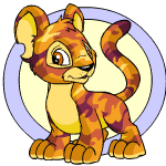 https://images.neopets.com/pets/kougra_camouflage_baby.gif