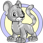 Classic Background silver kougra (old pre-customisation)