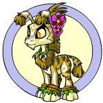 https://images.neopets.com/pets/ogrin_island_baby.gif