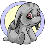 Classic Background grey poogle (old pre-customisation)