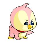 https://images.neopets.com/pets/rangedattack/bruce_baby_right.gif