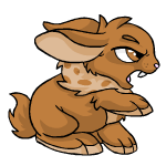 https://images.neopets.com/pets/rangedattack/cybunny_brown_right.gif