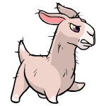 https://images.neopets.com/pets/rangedattack/gnorbu_sheared_right.gif