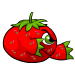 https://images.neopets.com/pets/rangedattack/kiko_strawberry_right.gif
