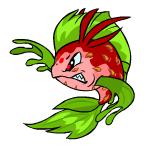 https://images.neopets.com/pets/rangedattack/koi_strawberry_left.gif
