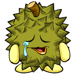 https://images.neopets.com/pets/sad/chia_durian_baby.gif
