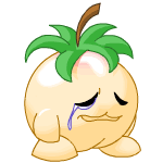 Sad peach chia (old pre-customisation)