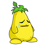 Sad pear chia (old pre-customisation)