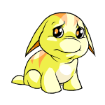 Sad yellow poogle (old pre-customisation)