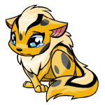 https://images.neopets.com/pets/sad/xweetok_spotted_baby.gif
