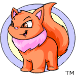 https://images.neopets.com/pets/wocky_orange_baby.gif