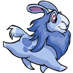 https://images.neopets.com/pp/gnorbu.gif