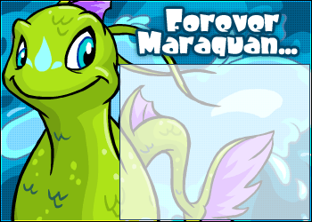 https://images.neopets.com/shopblogs/maraquanchomby.gif