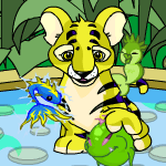 https://images.neopets.com/shopkeepers/shopkeeper_rockpool.gif