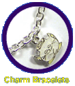 https://images.neopets.com/shopping/merchandise/charm-bracelets.gif