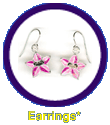 https://images.neopets.com/shopping/merchandise/earrings.gif