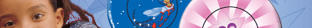 https://images.neopets.com/sponsors/bandai/acc_09.gif