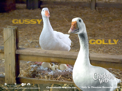 https://images.neopets.com/sponsors/moviemountain/flash_image_gallery/charlottes_web/pic2_f.jpg