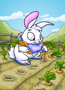 https://images.neopets.com/surveyimg/sur_cards/03_sloth/041.jpg