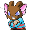 https://images.neopets.com/template_images/acara_brown_sweater.gif
