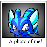 https://images.neopets.com/template_images/acara_electric_me.gif