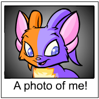 https://images.neopets.com/template_images/acara_split_me.gif
