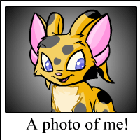 https://images.neopets.com/template_images/acara_spotted_me.gif