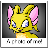 https://images.neopets.com/template_images/acara_yellow_me.gif