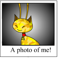 https://images.neopets.com/template_images/aisha_camouflage_me.gif