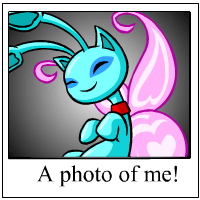 https://images.neopets.com/template_images/aisha_faerie_me.gif
